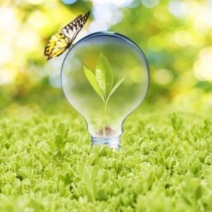 Sustainability 