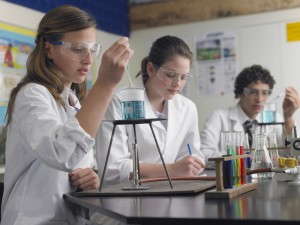 Specialised Labs